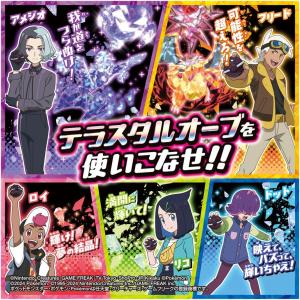 ポケットモンスター 超連動!ポケモン テラスタ...の詳細画像2