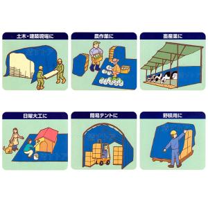 ブルーシート ♯3000 3.6m×5.4m ...の詳細画像3