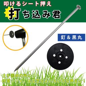 固定ピン シート杭 押さえピン アンカーピン ...の詳細画像3