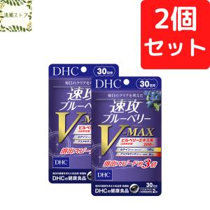 DHC 速攻ブルーベリーV-MAX ブイマックス 30日分×2個セット 120粒 サプリ 送料無料 追跡可能メール便｜kiyose-store