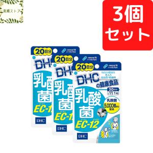 DHC 速攻ブルーベリー 20日分 40粒 サプリメント 健康食品