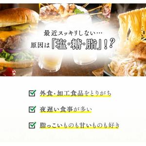 ベジエ ベジバリア塩糖脂ブラック 90粒 30...の詳細画像2