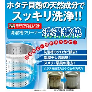 洗濯槽快 2包組ネットつき 2個セット 洗濯物...の詳細画像2