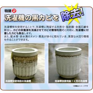 洗濯槽快 2包組ネットつき 洗濯物 カビ防止 ...の詳細画像3