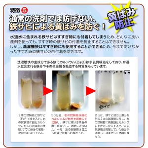 洗濯槽快 2包組ネットつき 洗濯物 カビ防止 ...の詳細画像5