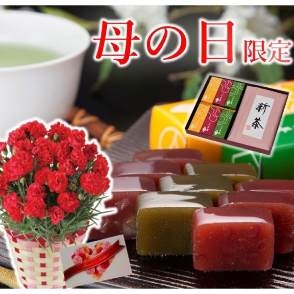 母の日 花 スイーツ 2024 和菓子 プレゼント カーネーション 一口羊羹 新茶 お菓子 ギフト ...