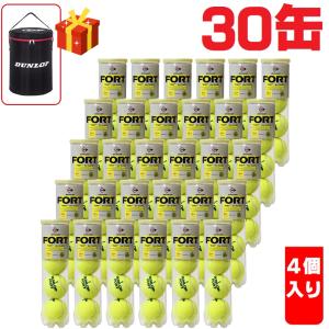 DUNLOP ダンロップ FORT フォート 4球×30缶 120球 DFCPEYLPT4 1箱 硬式
