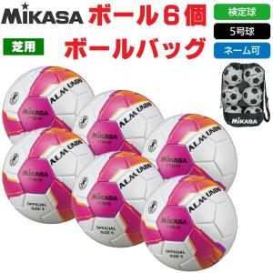 新品未使用品　GOSEN テニス　バトミントン　マルチカート ボール　シャトル GOSEN ゴーセン ソフトテニス バドミントン マルチカート ボール