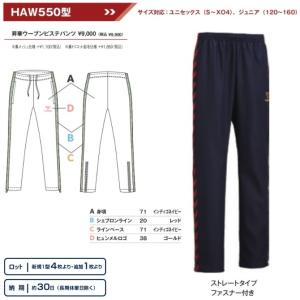 ヒュンメル ウォームアップウェア 昇華ウーブンピステパンツ ユニセックス・ジュニア HAW550型｜kiyospo