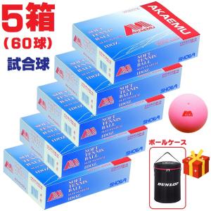 NAGASE KENKO（ナガセケンコー） KENKO 軟式テニス用ボール