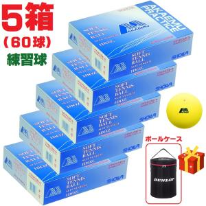 NAGASE KENKO（ナガセケンコー） KENKO 軟式テニス用ボール