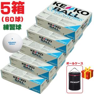 NAGASE KENKO（ナガセケンコー） ソフトテニスボール 練習球 10