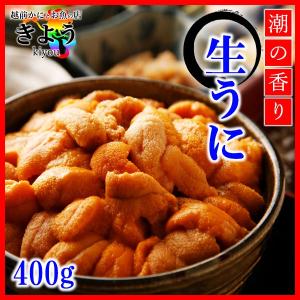 【生うに『400g』】Aグレード/高品質/すっきりした味わい...
