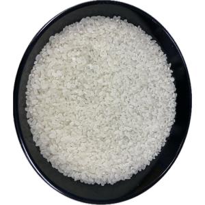 ★送料無料 精米したてをお送りします 白米10...の詳細画像2