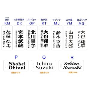 【新発売】ゴルフ ネームプレート 名入れ シン...の詳細画像3
