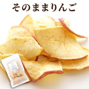 野菜チップス プチギフト お菓子 アップル リーフ 平袋入り 手土産 常温 日持ち りんご チップ 果物 おやつ 国産 お配り ご挨拶 お礼
