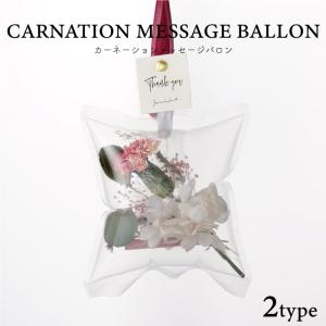 誕生日 プレゼント 女性 Carnation Message Ballon / カーネーション メッセージバロン ドライフラワー おしゃれ 花雑貨 インテリア雑貨 壁掛け｜kizamu