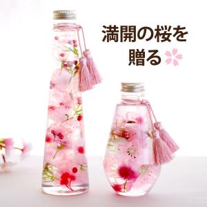 母の日 花 プレゼント 桜 ハーバリウム L 退...の商品画像