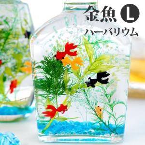 誕生日 花 プレゼントギフト 金魚 ハーバリウム L 植物標本 お花 宅配 還暦祝い 女性 定年退職 母 祖母 祖父 50代 60代 70代 80代 古希 喜寿 お祝い