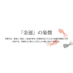 誕生日 花 プレゼントギフト 金魚 ハーバリウ...の詳細画像5