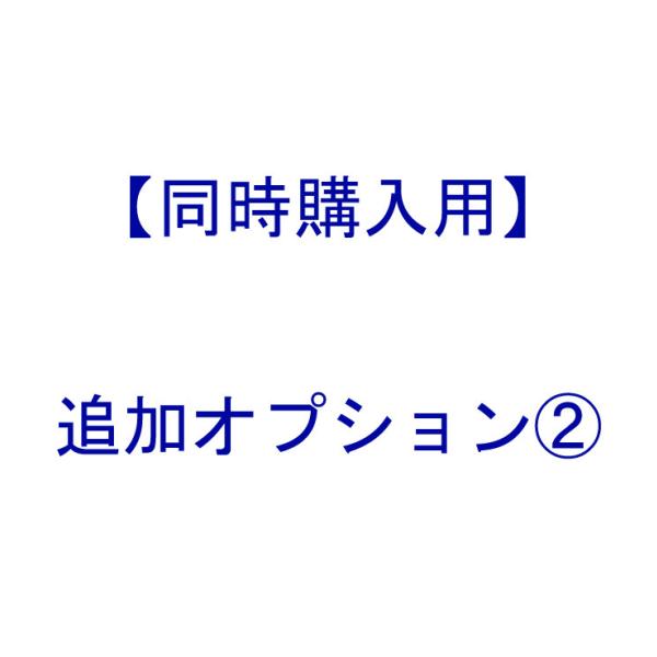 【 同時購入用 ： 追加 オプション 】オプション(2) ※本体別売り