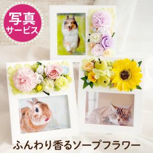 ペット お供え お悔やみ 花 メモリアル フォトスタンド フォトフレーム 写真立て 犬 猫 命日 プリザーブド ソープ フラワー 仏花 供花 贈り物｜kizamu