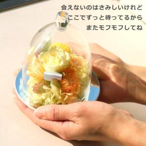 お悔やみ 花 ペット お供えドーム プリザーブ...の詳細画像4