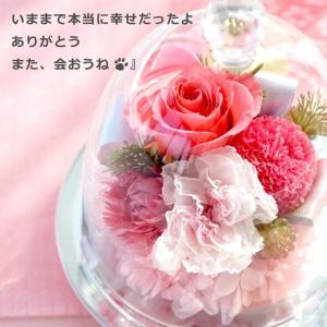 お悔やみ 花 ペット お供えドーム プリザーブ...の詳細画像5