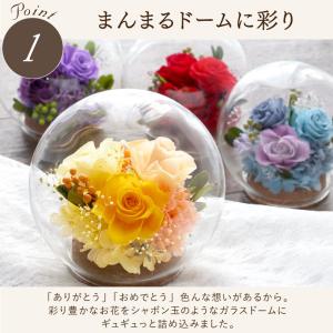 花 プレゼント おしゃれ 彩りバブルドーム プ...の詳細画像2