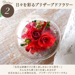 花 プレゼント おしゃれ 彩りバブルドーム プ...の詳細画像3