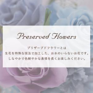 花 プレゼント おしゃれ 彩りバブルドーム プ...の詳細画像4
