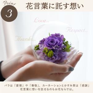 花 プレゼント おしゃれ 彩りバブルドーム プ...の詳細画像5