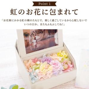 ペット お悔やみ 花 ギフト お供え 虹の橋 ...の詳細画像2