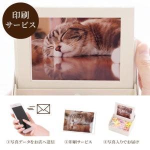 ペット お悔やみ 花 ギフト お供え 虹の橋 ...の詳細画像4