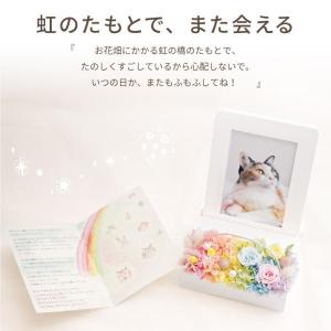 ペット お悔やみ 花 お供え 虹の橋 フォトフ...の詳細画像2