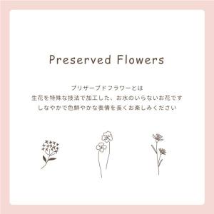 ペット お悔やみ 花 お供え 虹の橋 フォトフ...の詳細画像4