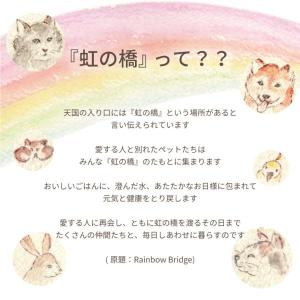 お供え 花 お悔やみ ペット 虹の橋 ひまわり...の詳細画像4