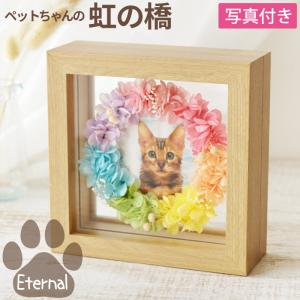 ペット お供え お悔やみ 花 ギフト 虹の橋 エ...の商品画像