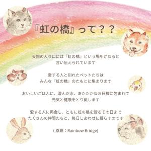 ペット お供え お悔やみ 花 ギフト 虹の橋 ...の詳細画像3