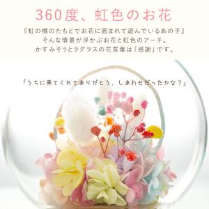 お供え 一周忌 三回忌 虹の橋 しゃぼん玉 プ...の詳細画像4