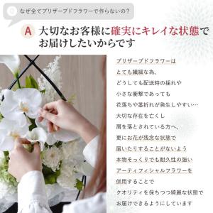 お悔やみ 花 お供え 花かご 胡蝶蘭 プリザー...の詳細画像5