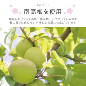 梅酒 さくら お酒 名入れ 送料無料 金箔 風...の詳細画像4