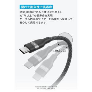 Anker USB-C & USB-C...の詳細画像2