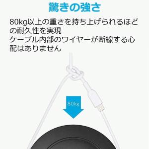 Apple認証 Anker Lightning...の詳細画像3