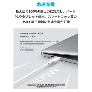 Anker Type-C & USB-...の詳細画像4