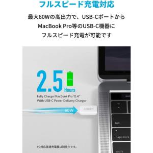 Anker USB-C & USB-C...の詳細画像2