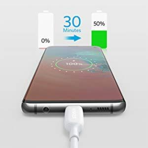 Anker USB-C & USB-C...の詳細画像3
