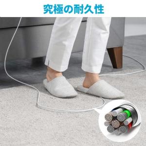 Anker USB-C & USB-C...の詳細画像4