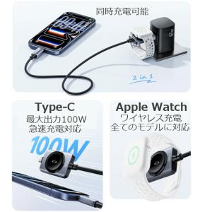 2in1 Type-C to Type-C /...の詳細画像2