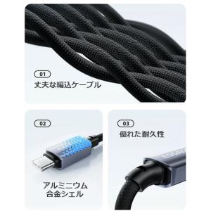 2in1 Type-C to Type-C /...の詳細画像5